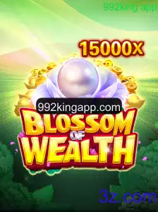 Desvendando os Segredos de BlossomofWealth